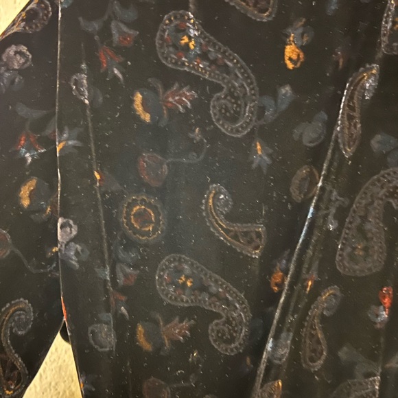 NWT ZARA Paisley Velour Dress - Picture 2 of 7